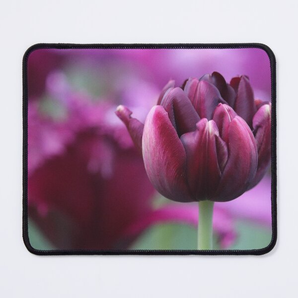 Item preview, Black Hero Tulip designed and sold by LeanneAllen.