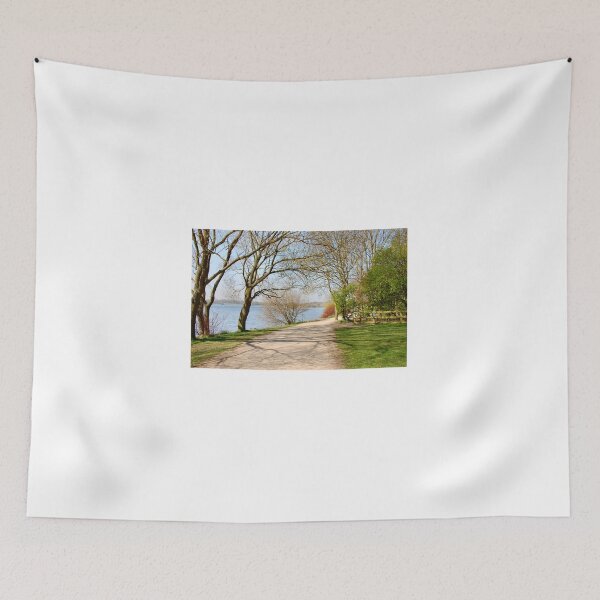 Item preview, THE PATH AROUND THE LAKE. designed and sold by ronsaunders47.