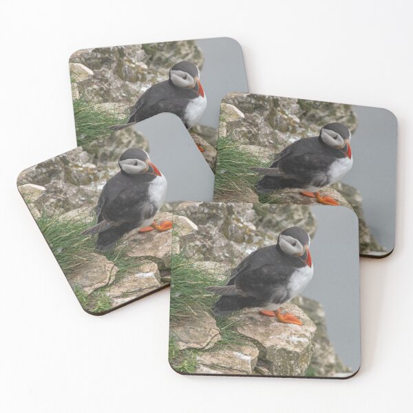 Item preview, Puffin on the cliff designed and sold by cdkphotos.
