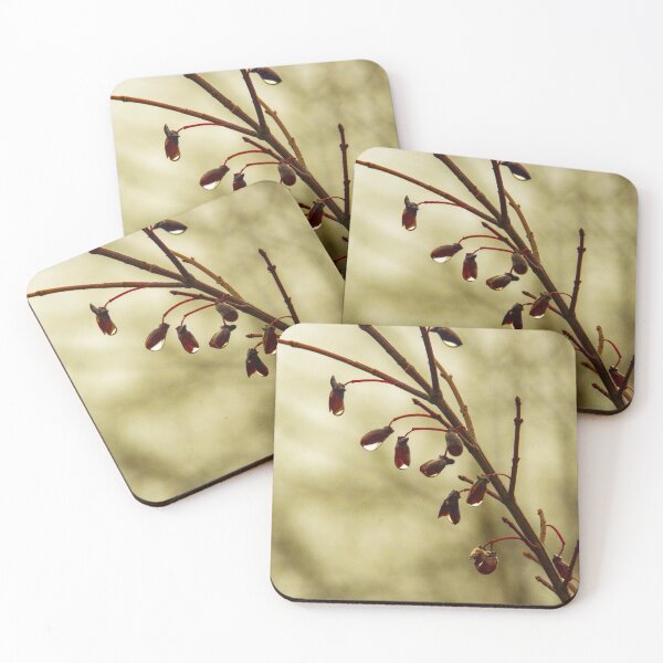 Item preview, Winter Rain on the Leaves designed and sold by SRosuphotos.