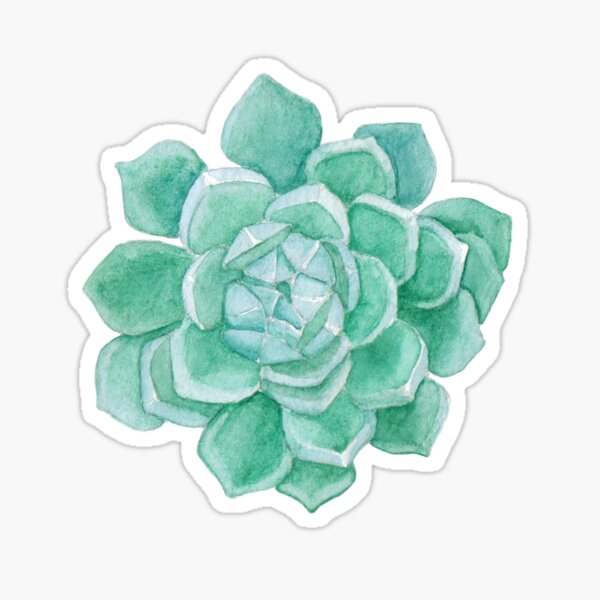 Cacti lover Sticker