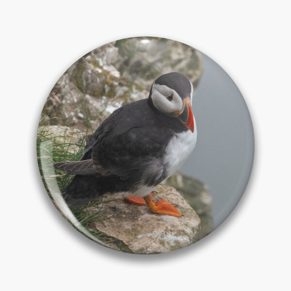 Item preview, Puffin on the cliffs designed and sold by cdkphotos.