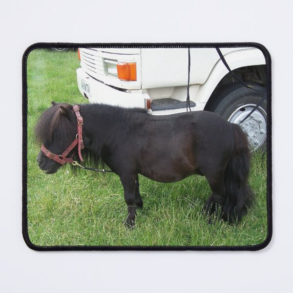 Item preview, Tiny Tim .. the shetland pony designed and sold by LoneAngel.