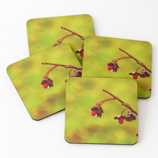Item preview, Droplets on Red designed and sold by SRosuphotos.