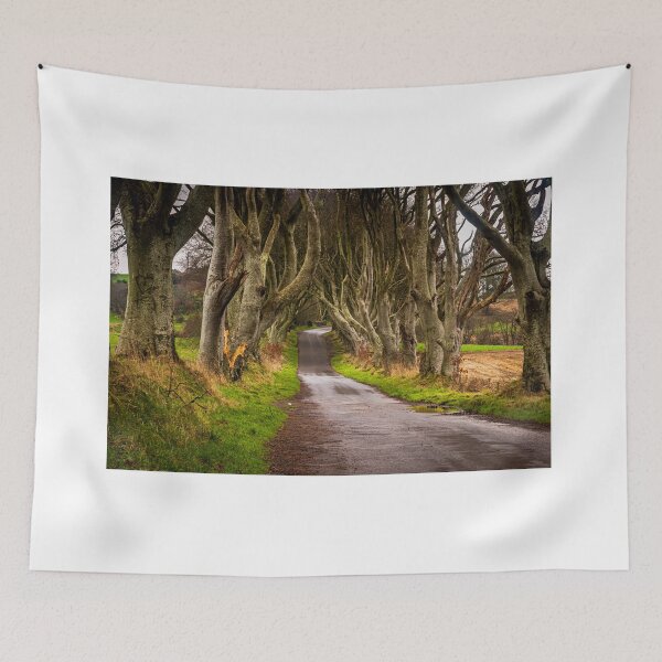 Item preview, The Dark Hedges County Antrim Northern Ireland designed and sold by thinkbigimages.