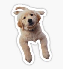 Pegatina Golden Retriever