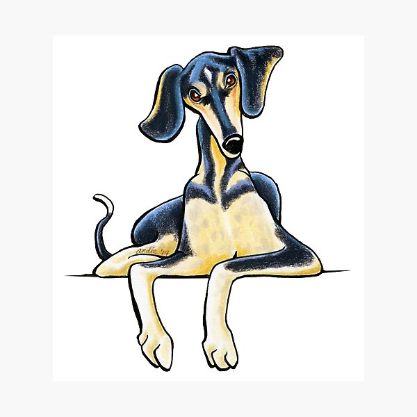 Smooth Saluki Emil Photographic Print