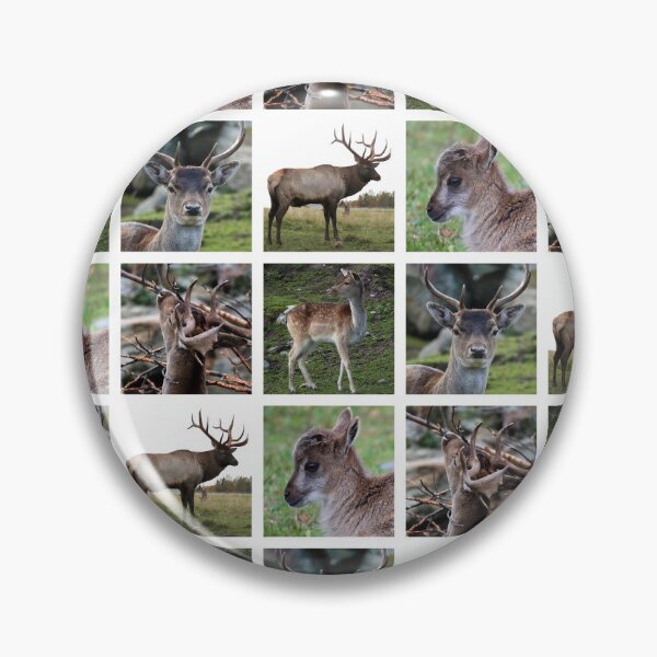Artikelvorschau, Nahaufnahme-Tierporträts-Fotografien. Nahtlose Hintergründe entworfen und verkauft von AlenserArt.