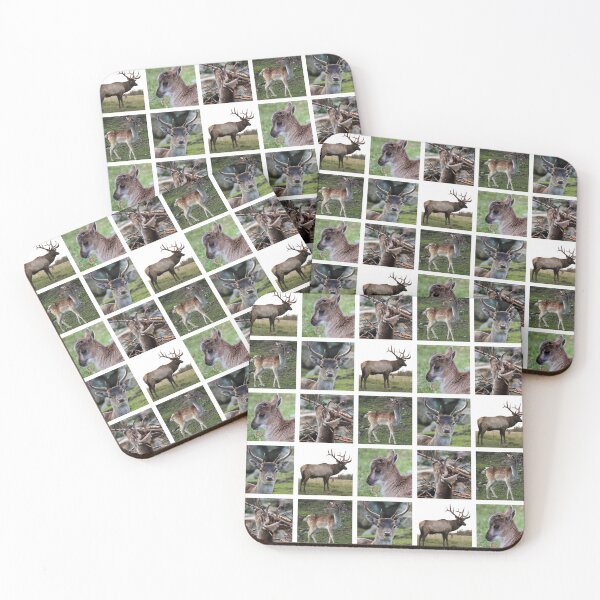 Item preview, Closeup Animal Portraits Photographs. Seamless backgrounds designed and sold by AlenserArt.