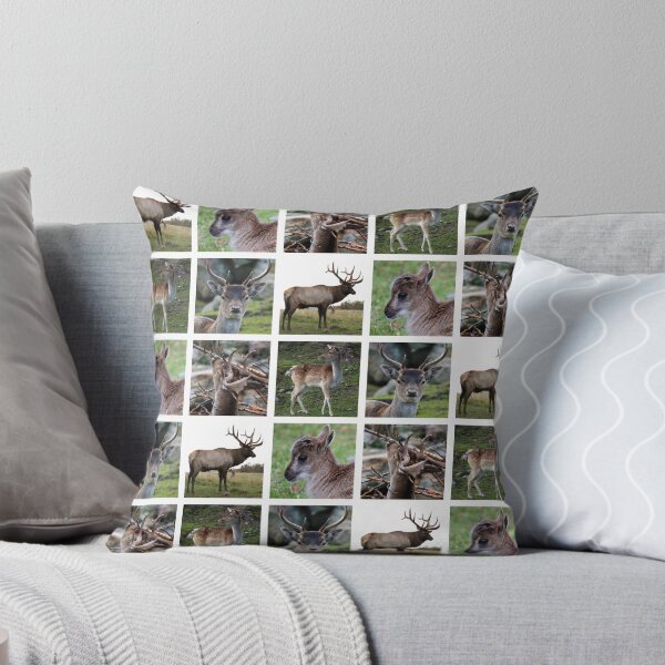 Item preview, Closeup Animal Portraits Photographs. Seamless backgrounds designed and sold by AlenserArt.
