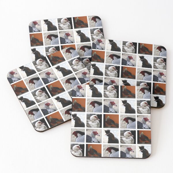 Item preview, Closeup Animal Portraits Photographs. chickens, ducks designed and sold by AlenserArt.