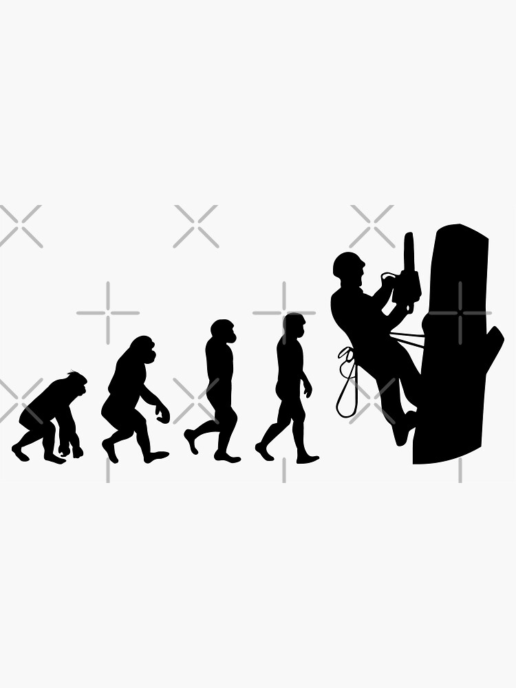 "Arborist Tree Climber Climbing Trimmer Forester Evolution" Sticker by