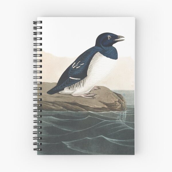 Item preview, Dovekie - John James Audubon designed and sold by billythekidtees.