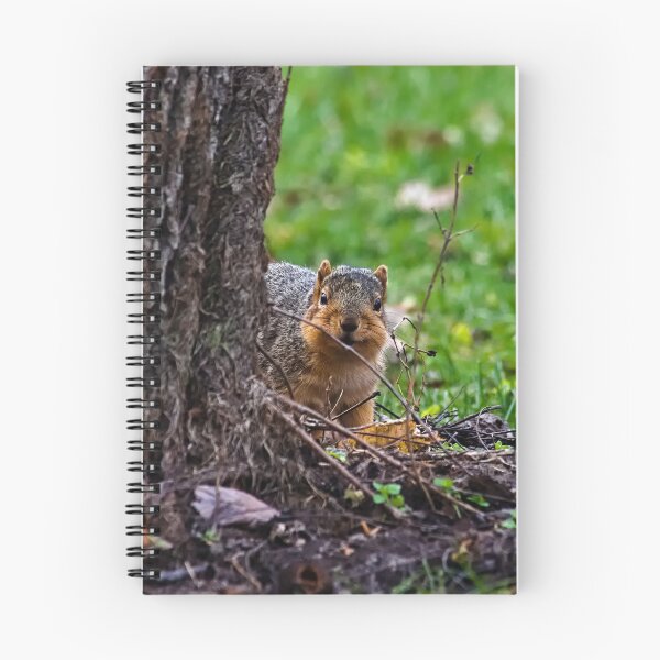 Item preview, Squirrel designed and sold by Brad Chambers.