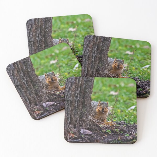 Item preview, Squirrel designed and sold by Brad Chambers.