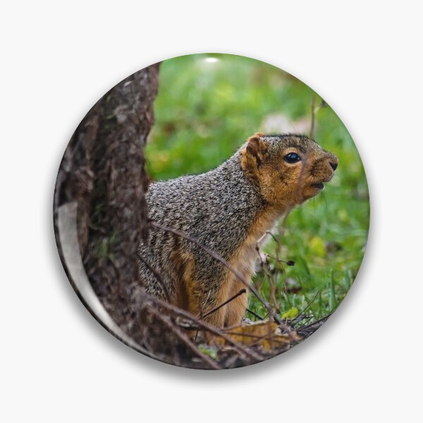 Item preview, Squirrel designed and sold by Brad Chambers.