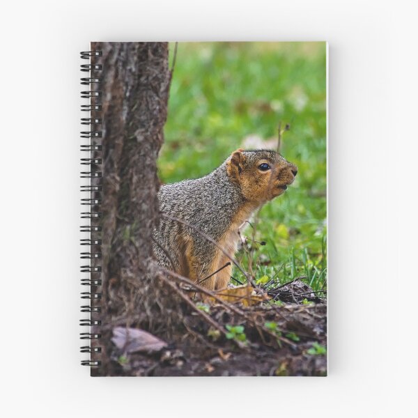 Item preview, Squirrel designed and sold by Brad Chambers.