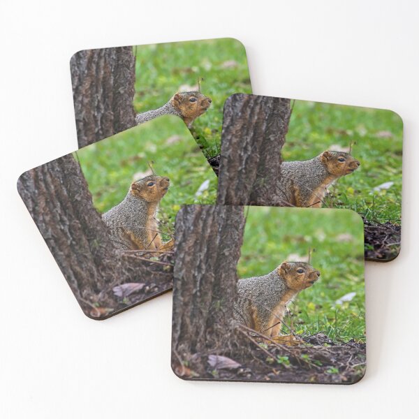 Item preview, Squirrel designed and sold by Brad Chambers.