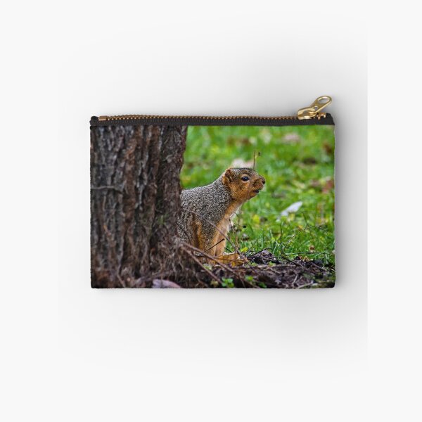 Item preview, Squirrel designed and sold by Brad Chambers.