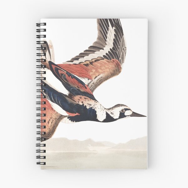 Item preview, Ruddy Turnstone - John James Audubon designed and sold by billythekidtees.