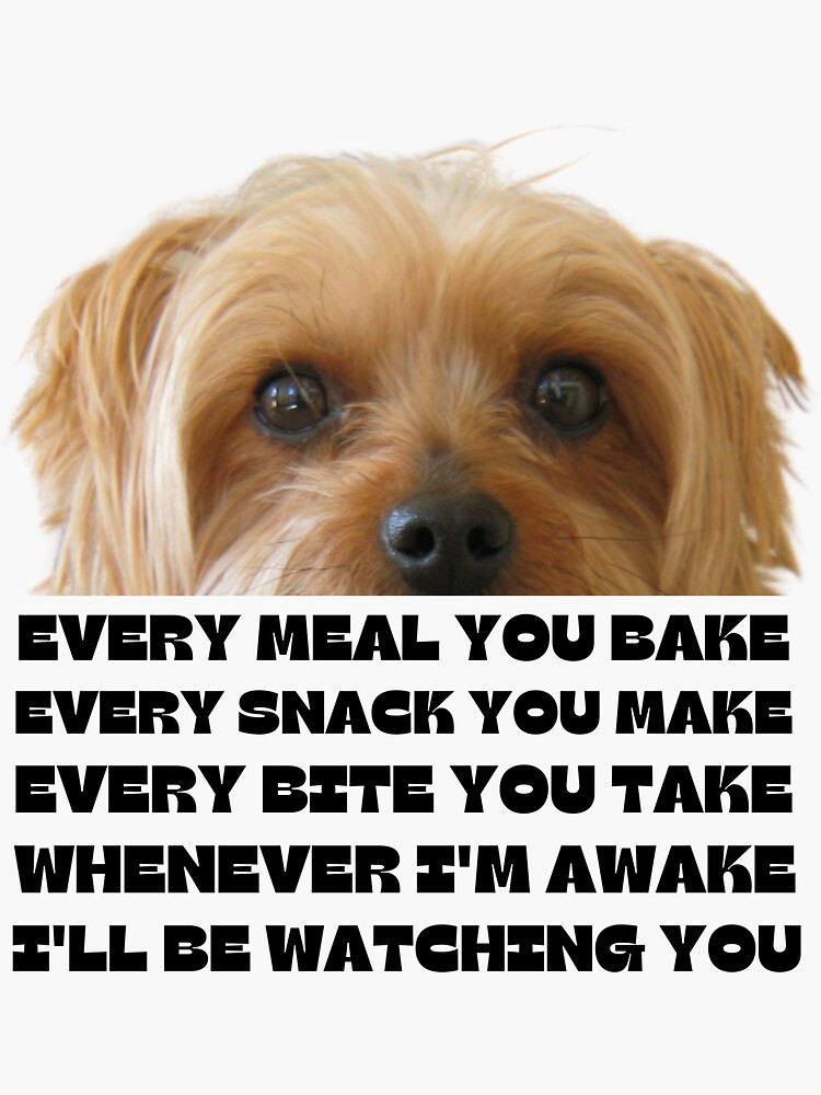 Dog Paw Every Snack You Make A Gift For Dog Lovers & Owner T-Shirt Dog Paw Every Snack You Make A Gift For Dog Lovers & Owner T-Shirt