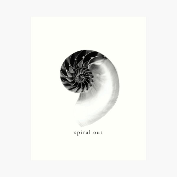 Item preview, Spiral Out Seashell - Minimalism designed and sold by noisiaz.