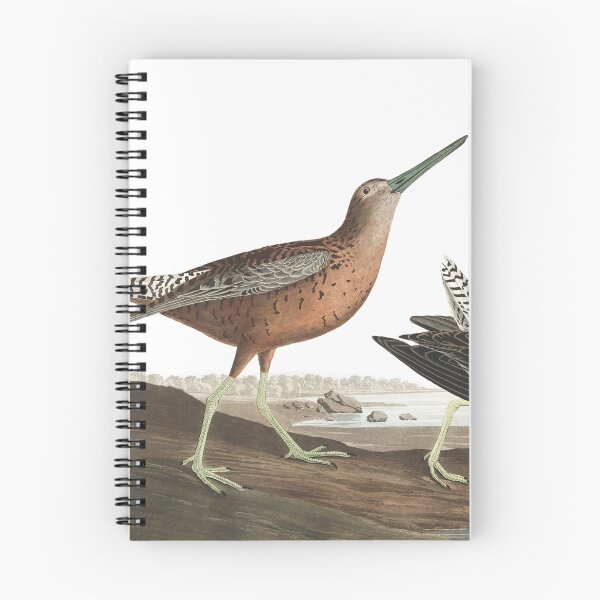 Item preview, Short-billed Dowitcher - John James Audubon designed and sold by billythekidtees.