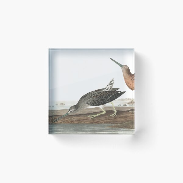 Item preview, Short-billed Dowitcher - John James Audubon designed and sold by billythekidtees.