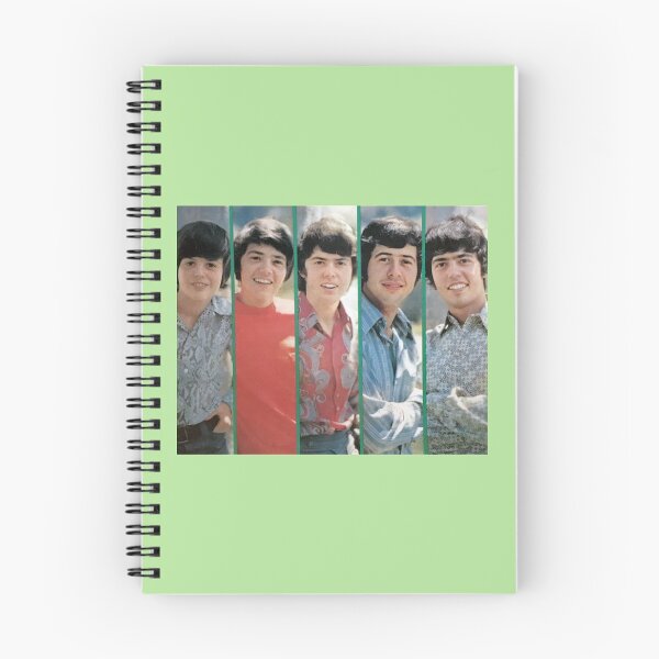 Item preview, Copy of Donny _amp_ Marie (Retro Collection)   designed and sold by dudeartgallery2.