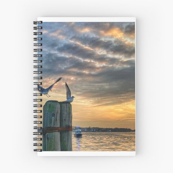 Item preview, Headlong Flight designed and sold by Steve Steele.