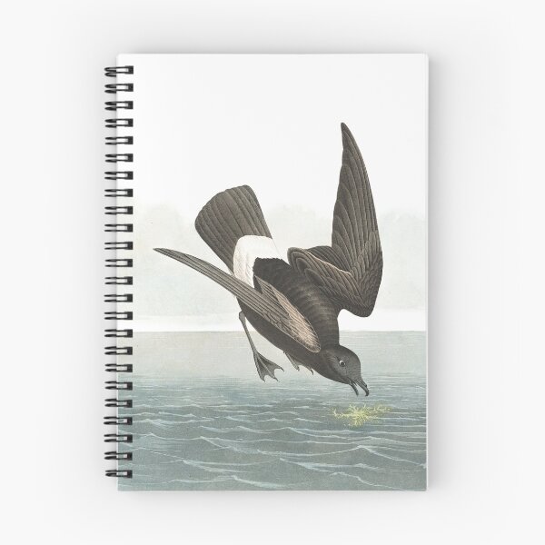 Item preview, Least Storm Petrel - John James Audubon designed and sold by billythekidtees.