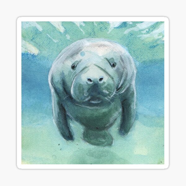 Mister Manatee Sticker