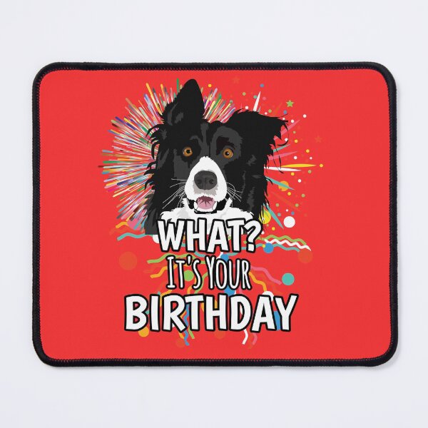 Artikelvorschau, Border Collie Was? Konfetti, es ist dein Geburtstag entworfen und verkauft von Willyboy16.