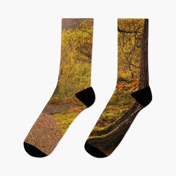 Item preview, Autumn Trees at Ullswater designed and sold by Martyn R Arnold Fine Art Nature & Landscape Photography.