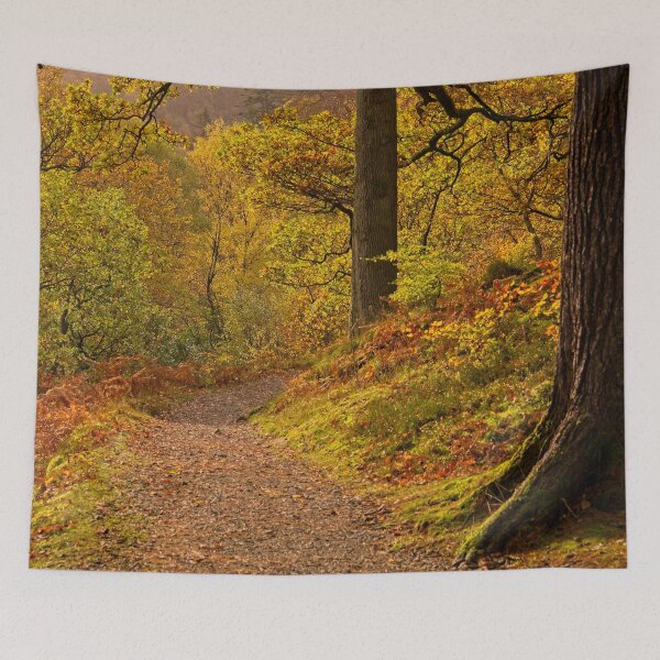 Item preview, Autumn Trees at Ullswater designed and sold by Martyn R Arnold Fine Art Nature & Landscape Photography.