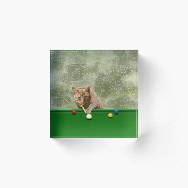 Artikelvorschau, SNOOKER-KATZE entworfen und verkauft von Danicus666.