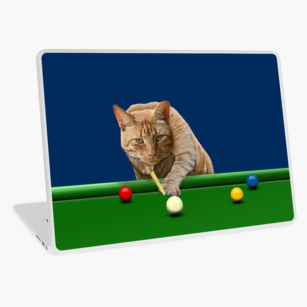 SNOOKER CAT