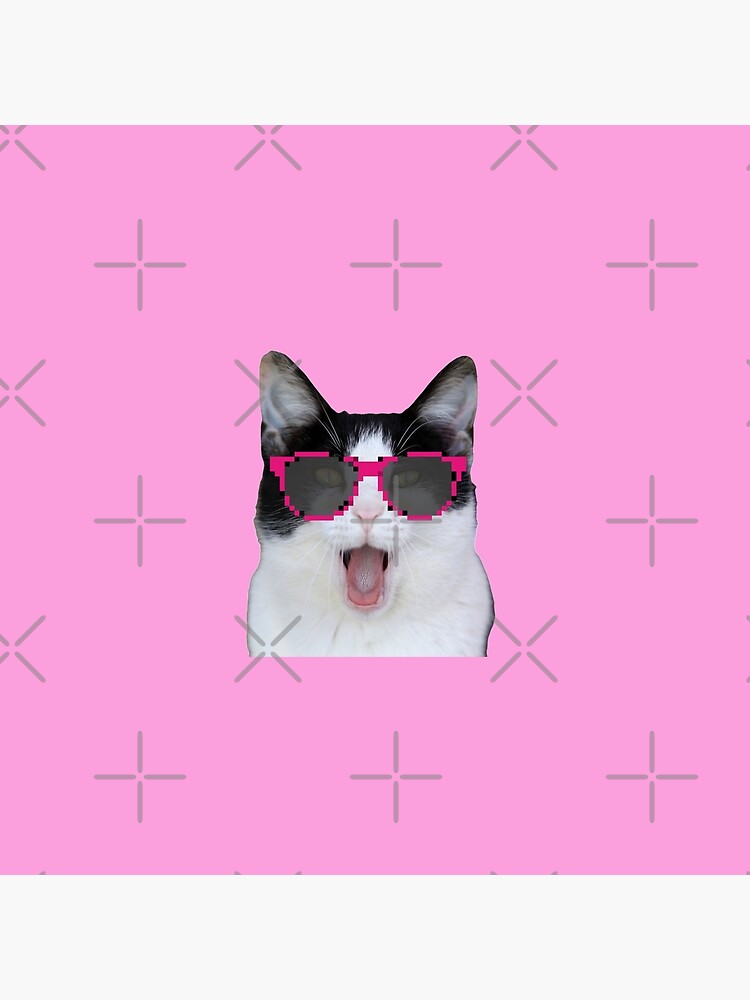 Beluga Discord - Beluga Cat - Pixel Pink Glasses Art Board Print for Sale  by DiensDesign