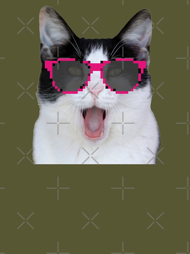 Beluga Discord - Beluga Cat - Pixel Pink Glasses Art Board Print for Sale  by DiensDesign