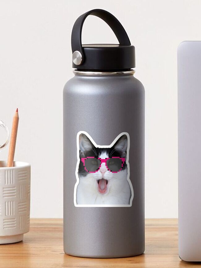 Beluga Discord - Beluga Cat - Pixel Pink Glasses Art Board Print for Sale  by DiensDesign