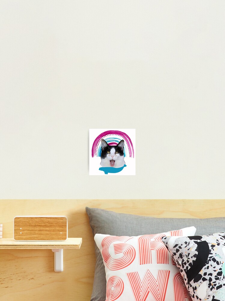 beluga cat discord pfp | Photographic Print