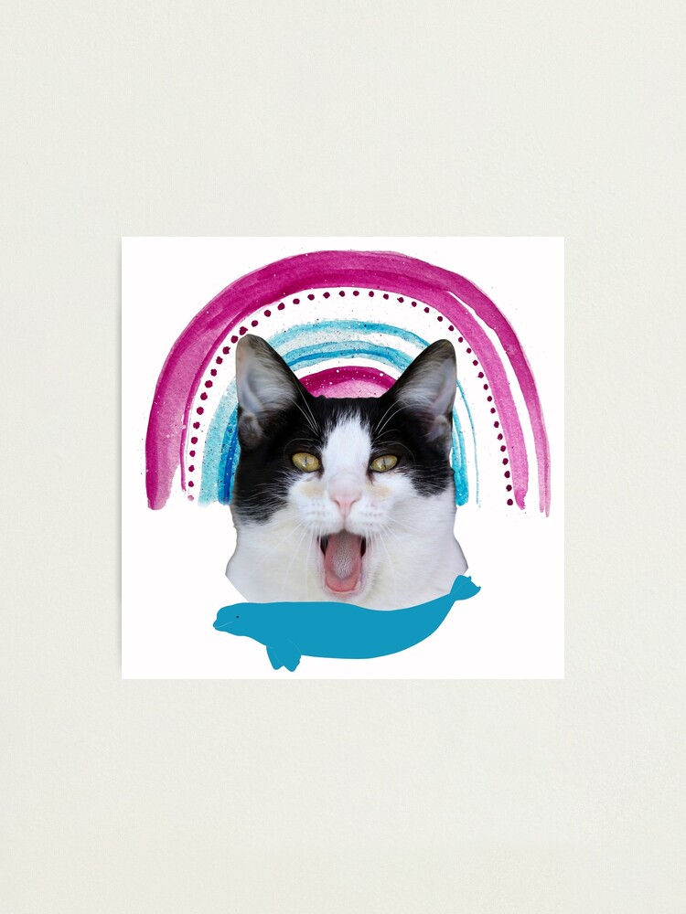 beluga cat discord pfp | Photographic Print