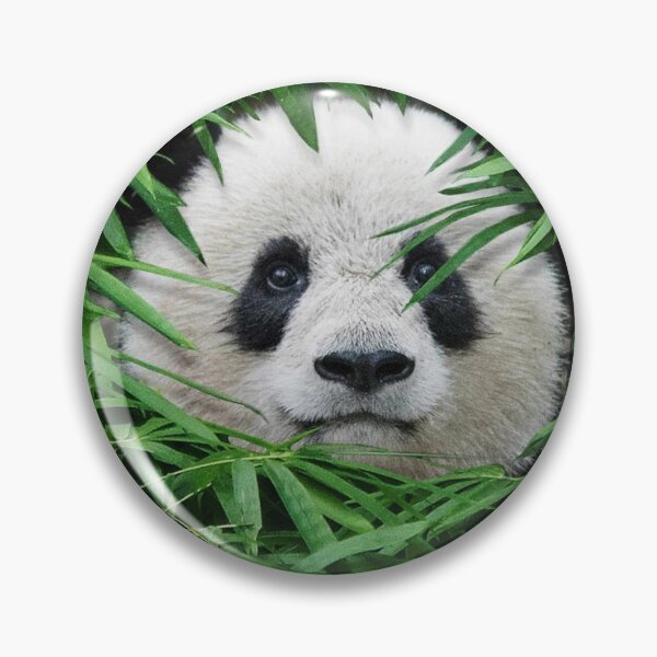 Item preview, Panda designed and sold by Dany2000.