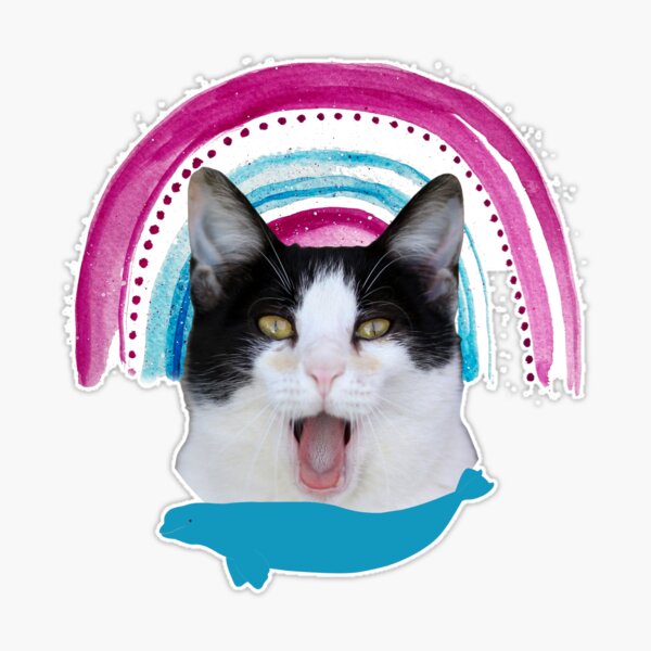 50 Free and Best Discord Cat PFP in 2023