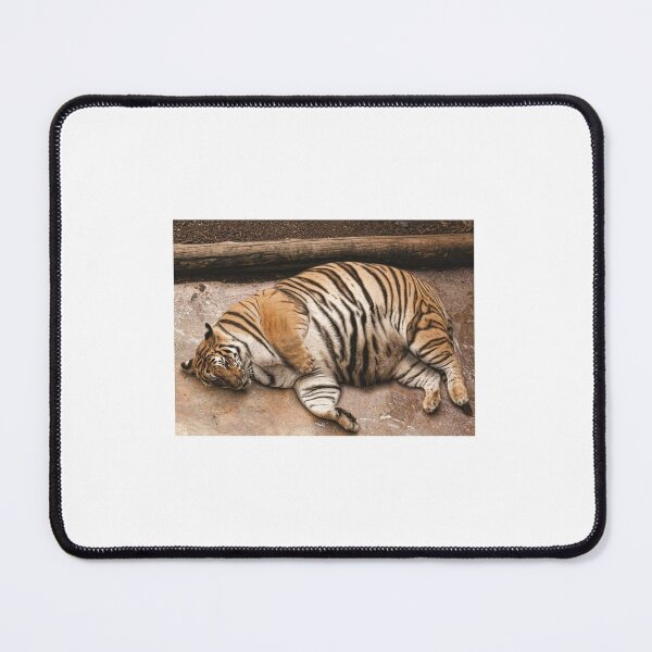Item preview, Fat tiger, symbol of 2022 designed and sold by Rashkin.