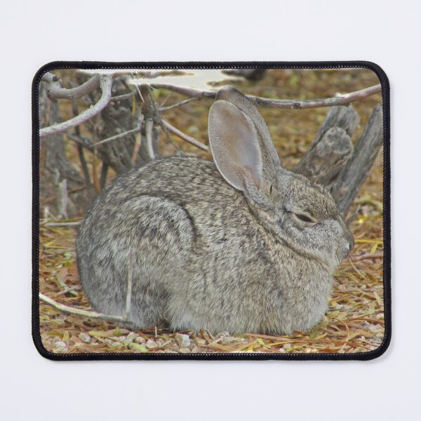 Item preview, Sleepy Bunny Tired Rabbit Cute Animal designed and sold by natureinfocus.