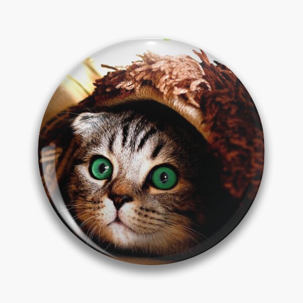 Item preview, CUTE CAT WITH BEAUTIFUL GREEN EYES. designed and sold by marie1919.