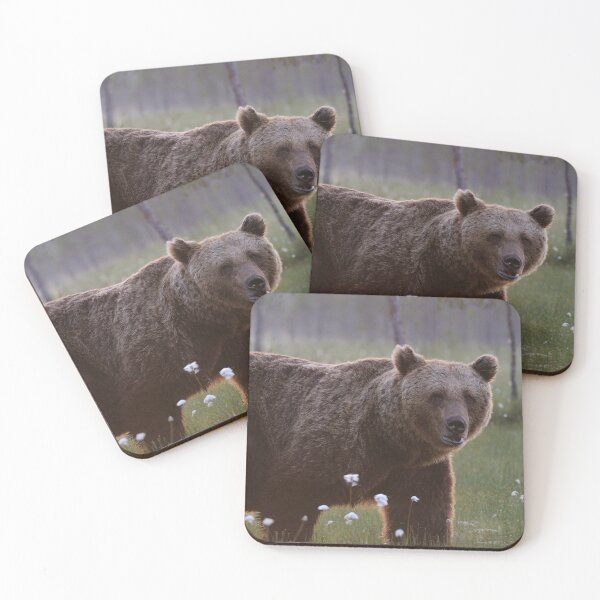 Item preview,  panoramic,panoramic wall art, panoramic canvas prints widescreen prints, wall posters, Tapestries,animals,Grizzly Bear wall art,Grizzly Bear artwork,Grizzly Bears,wild,Grizzly Bear art designed and sold by eyesight4vision.