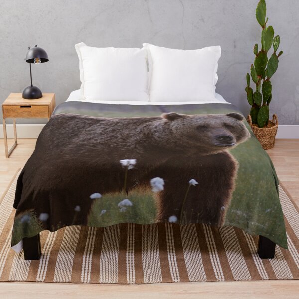 Artikelvorschau, Panorama, Panorama-Wandkunst, Panorama-Leinwanddrucke Breitbilddrucke, Wandposter, Wandteppiche, Tiere, Grizzlybär-Wandkunst, Grizzlybär-Kunstwerk, Grizzlybären, wild, Grizzlybär-Kunst entworfen und verkauft von eyesight4vision.