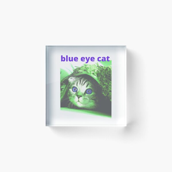 Item preview, LOVE THIS CUTE CAT WITH BLUE EYES. designed and sold by marie1919.